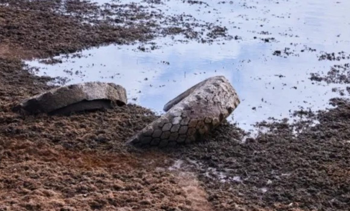 Denuncian vecinos filtración de líquidos en Otumba y Axapusco