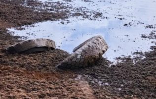 Denuncian vecinos filtración de líquidos en Otumba y Axapusco