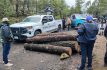 Detienen a Talamontes en Xalatlaco