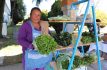 Visita el Tianguis Colibrí y apoya el consumo local en el corazón de Toluca