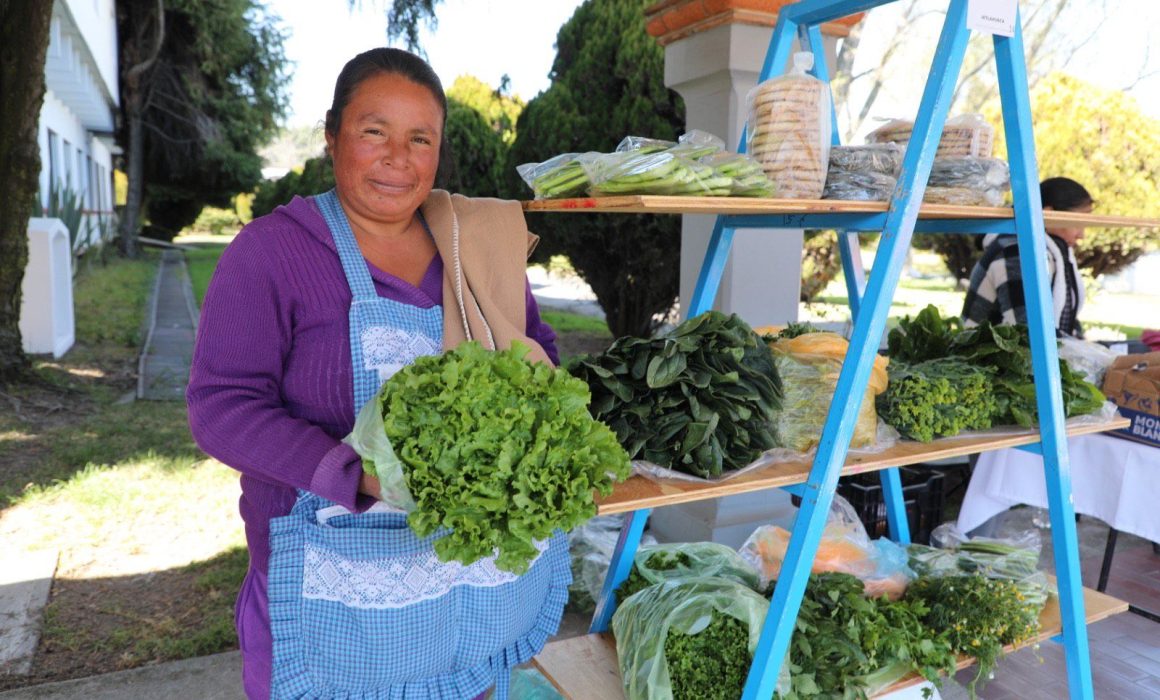 Visita el Tianguis Colibrí y apoya el consumo local en el corazón de Toluca