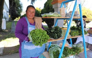 Visita el Tianguis Colibrí y apoya el consumo local en el corazón de Toluca