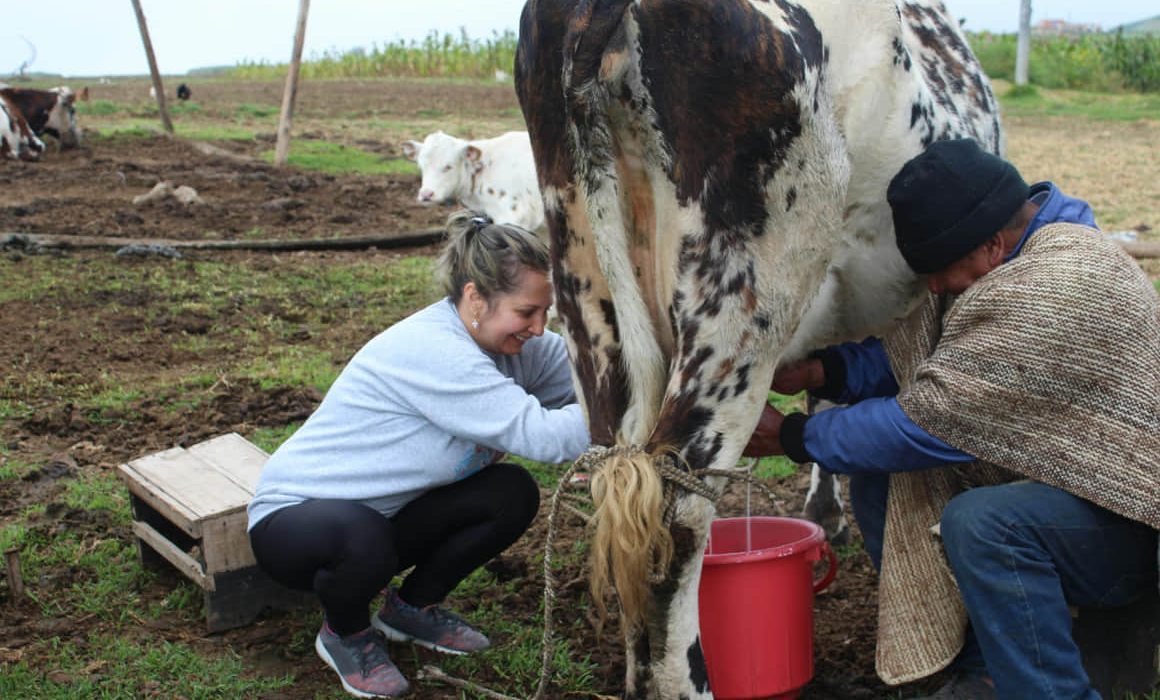 Advierten que redadas del ICE dispararían el precio de la leche en EU