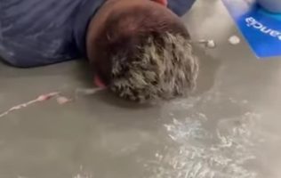 Agarran clientes y empleados de supermercado a ladrón en Toluca