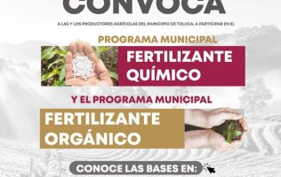 Apoya Toluca a productores con fertilizantes para el agro local