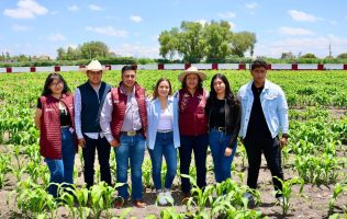 Apuesta Gobierno Mexiquense al rescate de su maíz nativo