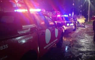 Cae árbol en San Mateo Atenco