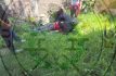 Cae de segundo piso de vivienda en Zumpango y se salva