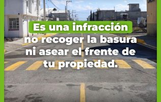 Castigarán a los cochinos de San Mateo Atenco
