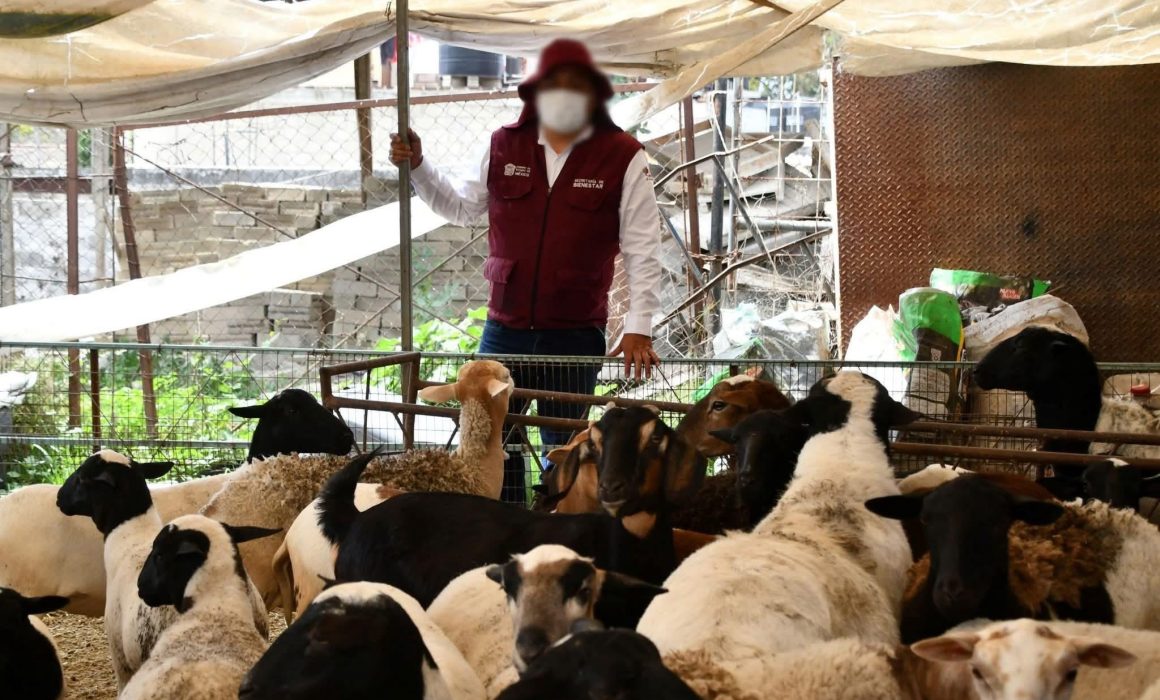 Comienzan a repartir bienes incautados en Operación Liberación