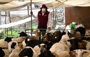 Comienzan a repartir bienes incautados en Operación Liberación