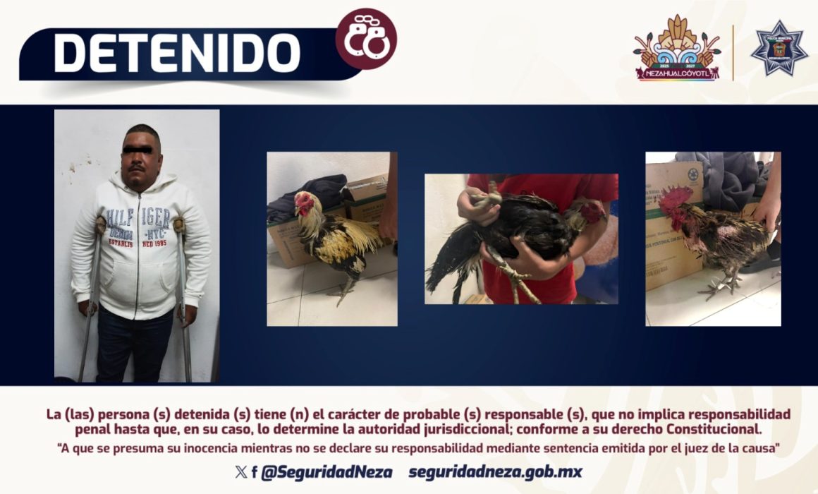 Detenidos por maltrato animal en Neza