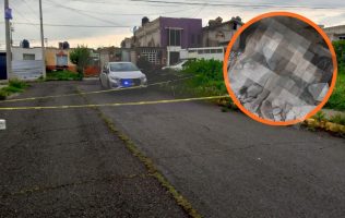Envenenan a perritos en Hidalgo