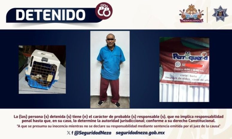 Detienen a veterinario chafa, lo acusan de matar a gatito en Neza