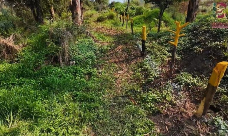 Persiste abandono en tiradero clausurado de Cuautitlán Izcalli