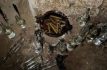 Investigan en Atizapán presuntos rituales con sacrificio de animales en cuevas