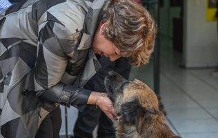 Mexiquenses aman a los perros