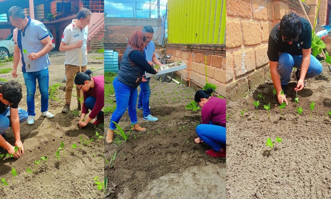 Impulsan en Nextlalpan “Familias Cultivan Salud en Casa”