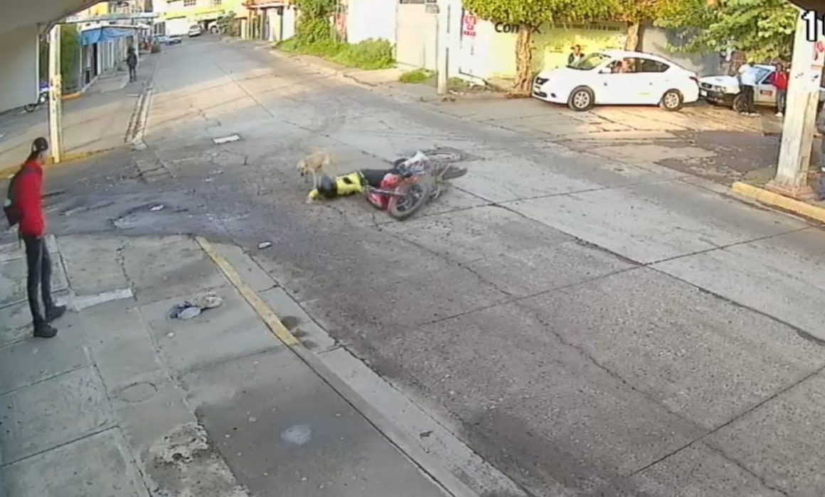 Perro atropella a motociclista