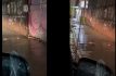 Plaga de ratas en Ecatepec