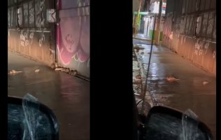 Plaga de ratas en Ecatepec