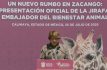 Presentan a nuevo ejemplar de jirafa en el Zoológico de Zacango