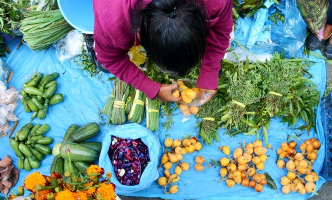 Se niegan vecinos de Popo Park al Tianguis Ganadero de Ozumba