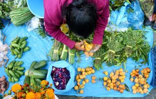Se niegan vecinos de Popo Park al Tianguis Ganadero de Ozumba