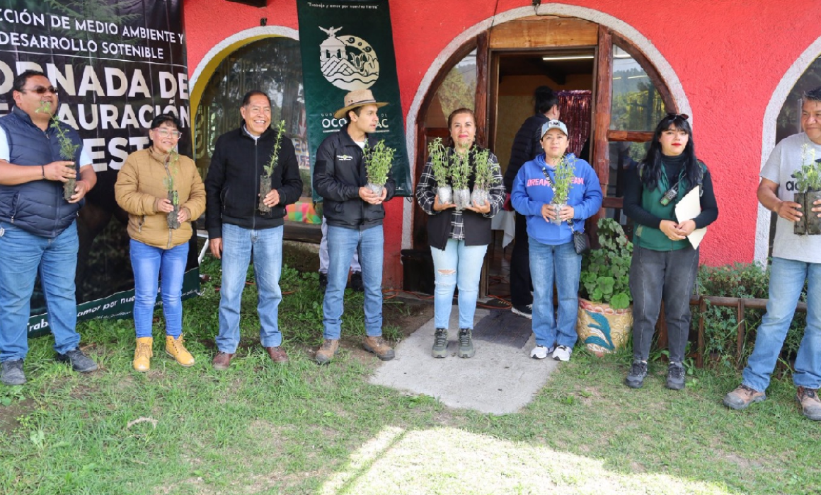 Siembran mil plantas de Oyamel en Ocoyoacac