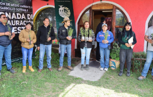 Siembran mil plantas de Oyamel en Ocoyoacac