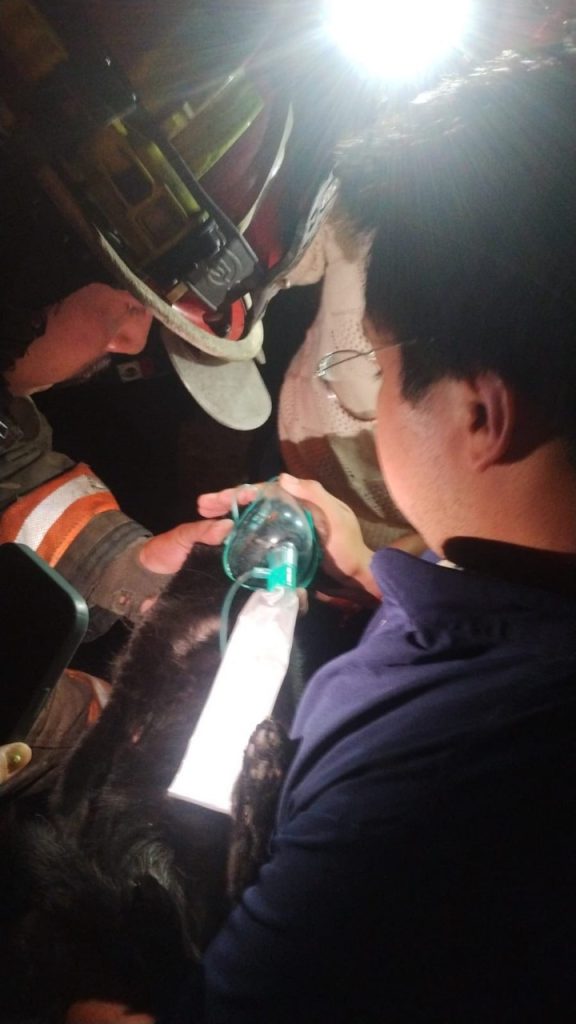 Fotos: Hoy Ecatepec