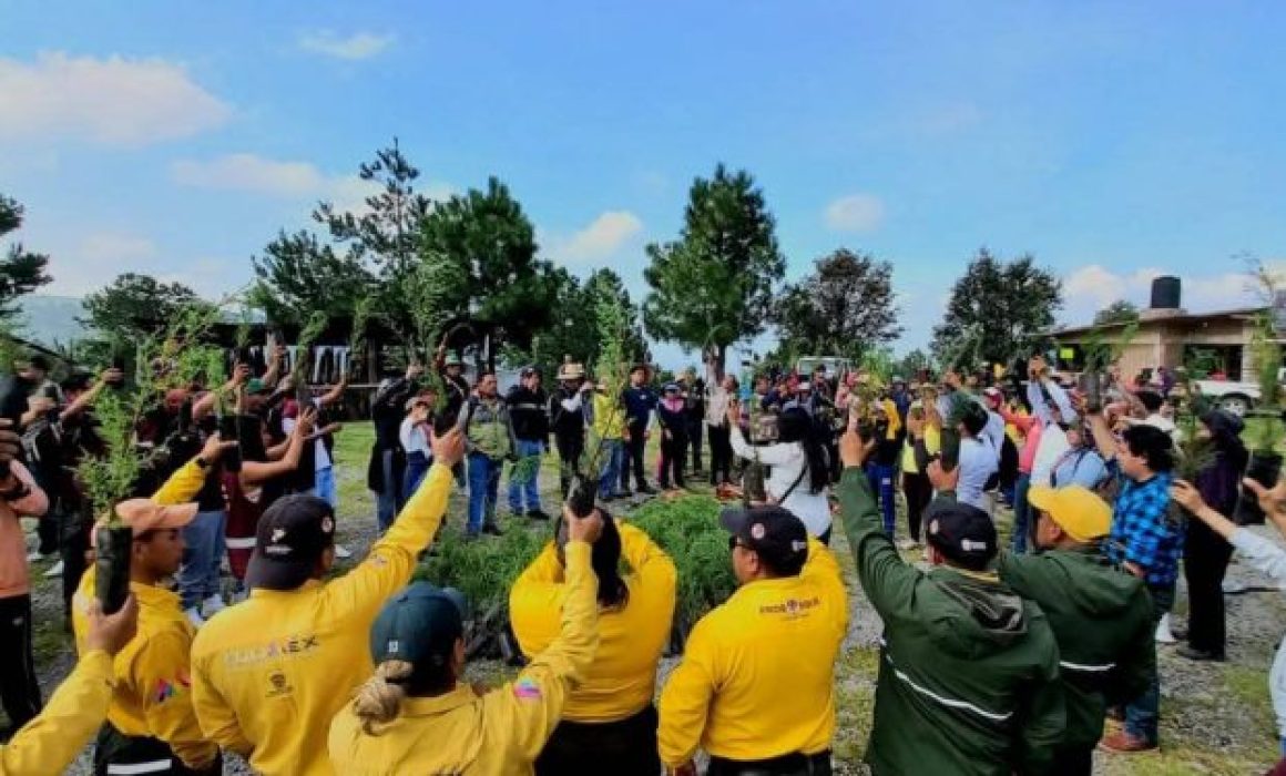 Arranca en Ixtapaluca la reforestación 2025 con mil 500 árboles