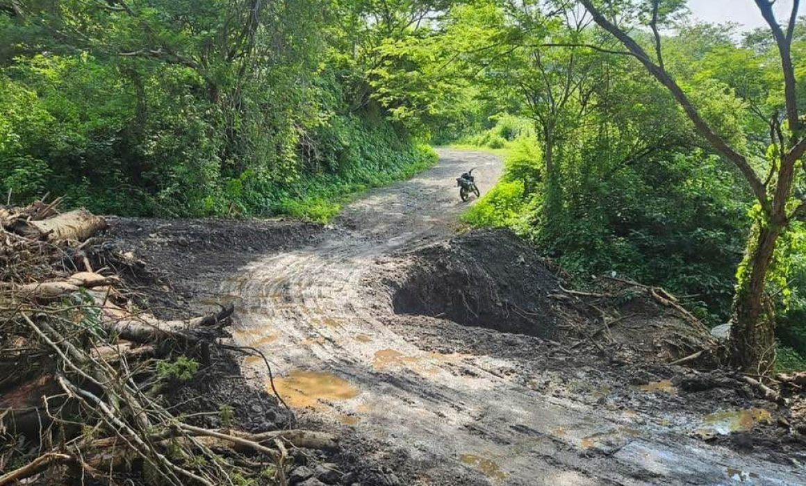 Atienden caminos afectados por derrumbes y caída de árboles en Tlatlaya