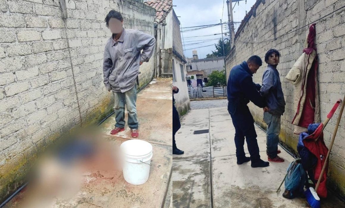 Capturan a hombre que le arrebató la vida a un perrito en Ocoyoacac