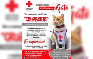 Celebra y ayuda_ Únete a la colecta animal con causa en Toluca