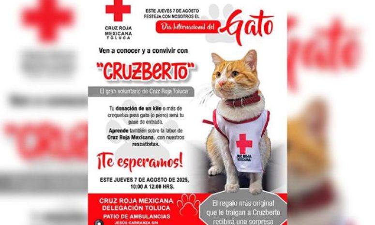 Celebra y ayuda: Únete a la colecta animal con causa en Toluca