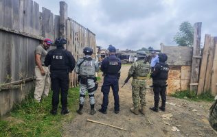 Clausuran 3 aserraderos ilegales en Amecameca y San Pedro Nexapa