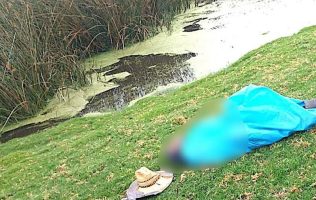 Cuidaba a su ganado y murió por la caída de un rayo en Tianguistenco
