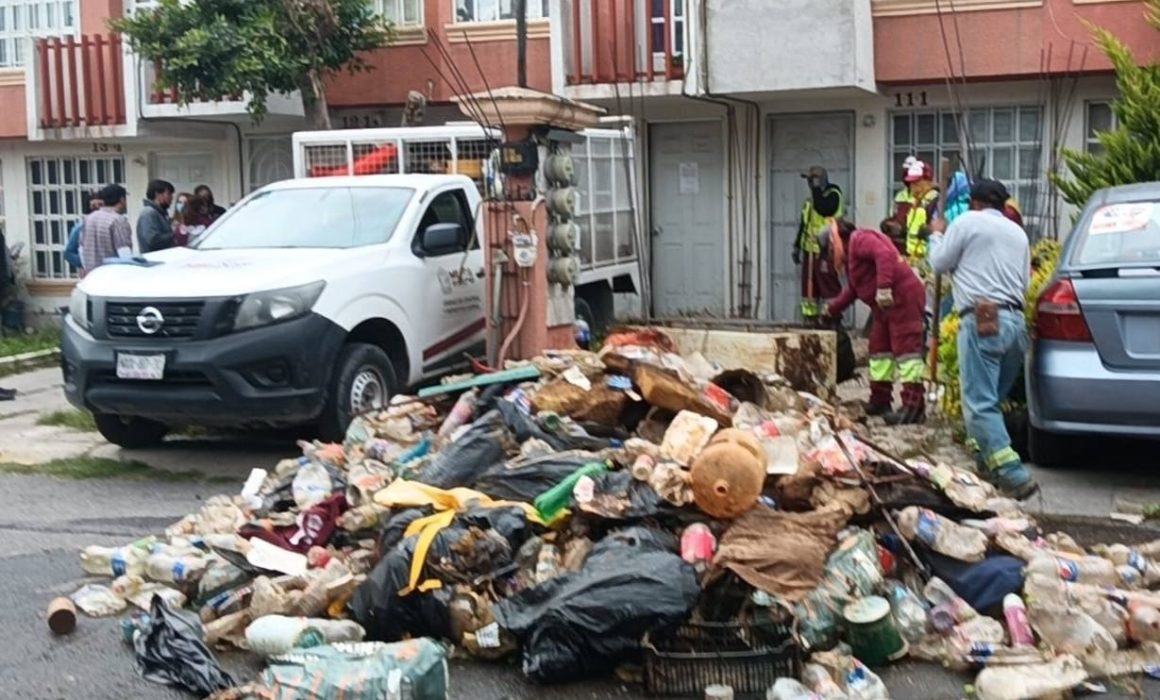 Denuncian acumulación de basura y rescatan 90 gatos de vivienda en Tecámac