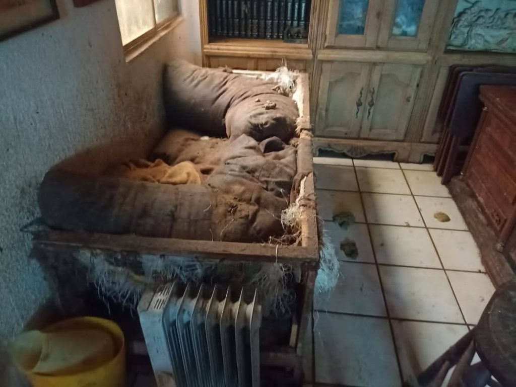 FOTO: PROPAEM
