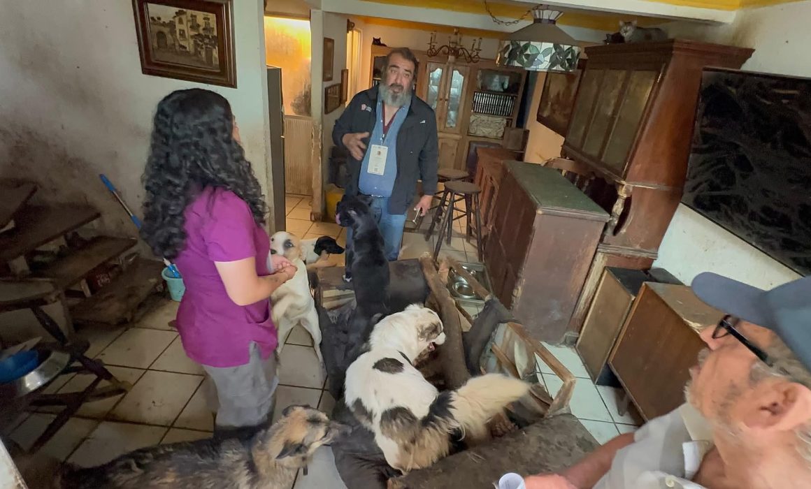 Detienen a hombre tras rescate de 32 perros en Cuautitlán Izcalli