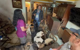 Detienen a hombre tras rescate de 32 perros en Cuautitlán Izcalli