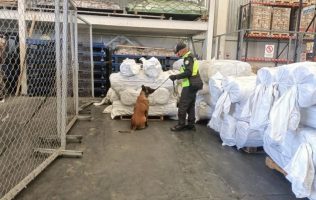 Encuentran 75 rollos de fentanilo en el AIFA