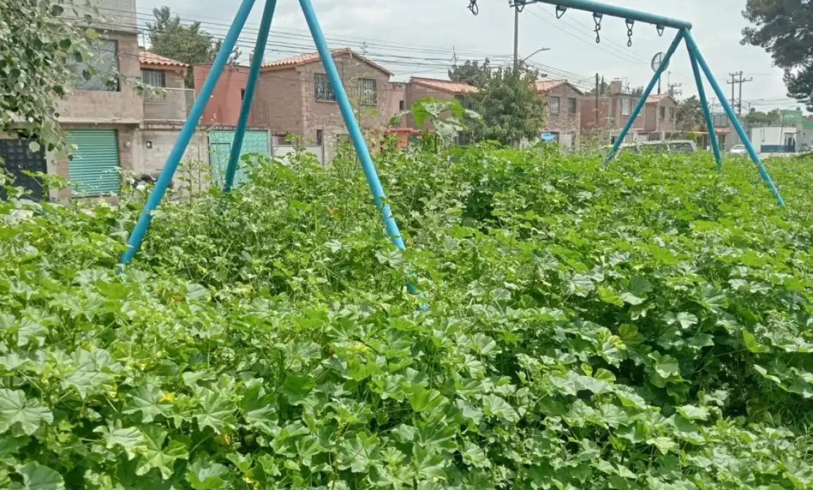 Exigen rehabilitar parques y espacios deportivos en Chicoloapan