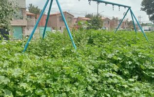 Exigen rehabilitar parques y espacios deportivos en Chicoloapan