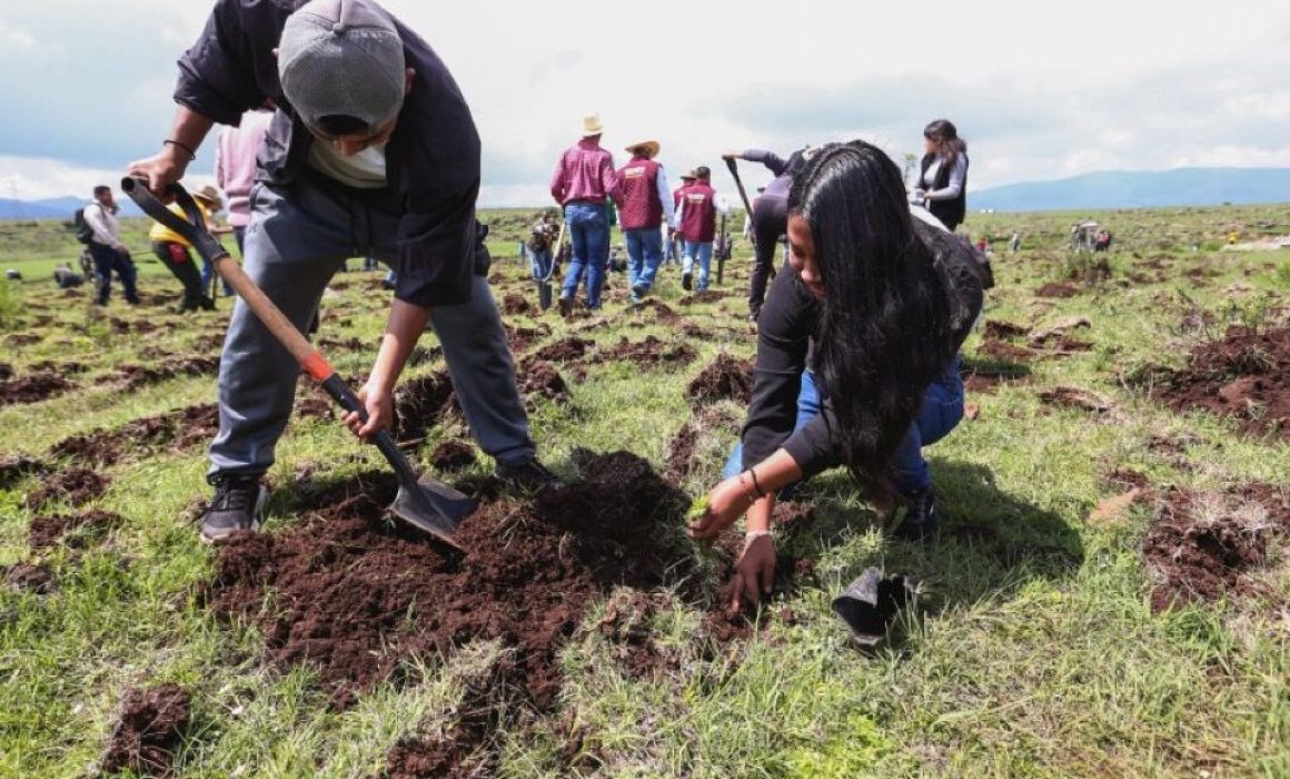 Fomenta Probosque el cuidado forestal en niños con programa Bosque Escuela