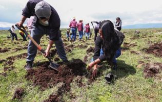 Fomenta Probosque el cuidado forestal en niños con programa Bosque Escuela
