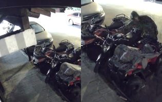 Graban a sujeto desvalijando moto en Valle de Bravo