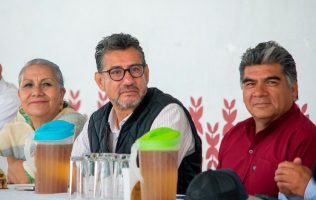 Halcones conquistan la Copa Veracruz 2024