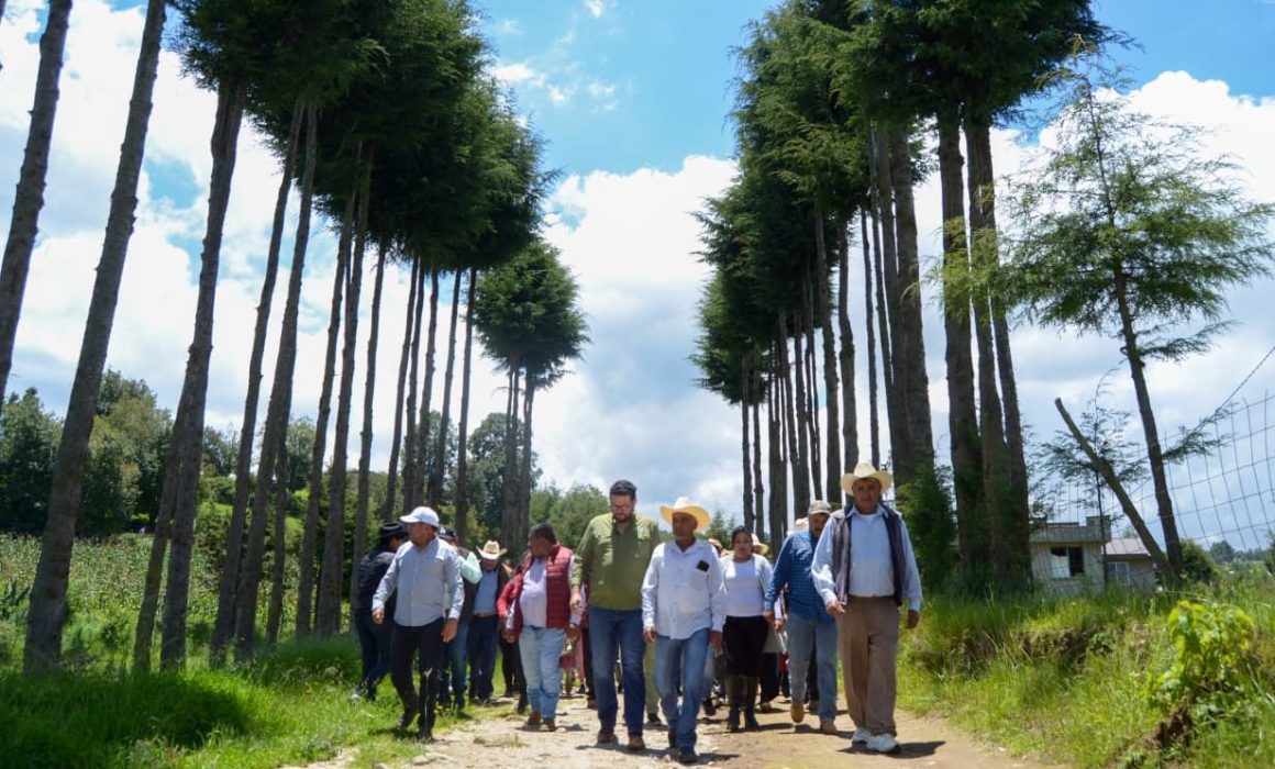 Impulsa Almoloya rehabilitación de caminos y apoyo social en comunidades